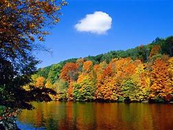 Image result for Fall Season for Desktop