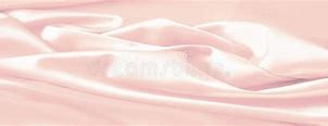 Image result for Pale Coral Rose