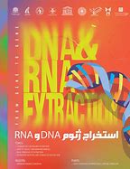 Image result for Components of DNA and RNA