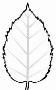 Image result for Beech Leaf Stencil