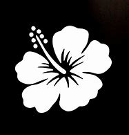 Image result for Wall Decals Hawaiian Flower