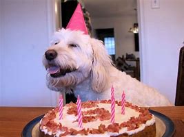 Image result for Dog Birthday Cake Party