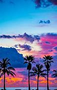 Image result for Miami Sunset Art