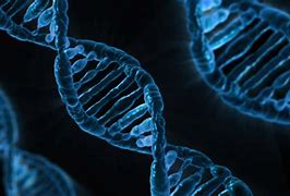 Image result for DNA Sequencing Model