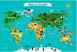 Image result for Map of World Scratch-Off High Res Pic