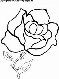 Image result for Tropical Flower Coloring Pages Printable