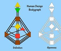 Image result for Human Design Bodygraph