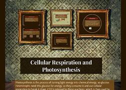 Image result for Photosynthesis and Cellular Respiration Comparison Chart