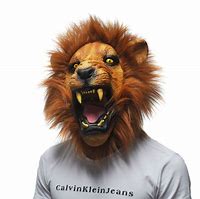 Image result for Lion Head Mask