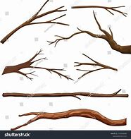 Image result for Colored Vector Drawing of a Bird On a Branch