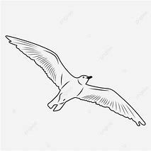 Image result for Black Outline of a Bird On a Branch