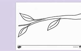 Image result for Coloring Page of Branch