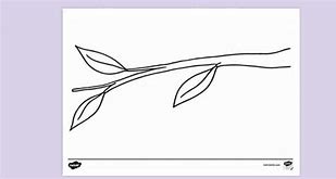 Image result for Coloring Page of Branch