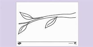 Image result for Vector Tree Branch Coloring