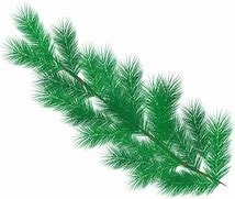 Image result for Tree Branch Texture HD