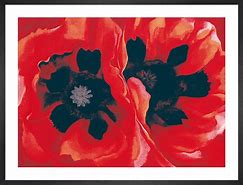 Image result for Oriental Poppies Georgia O'Keeffe