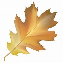 Image result for Leaf Vector Illustration