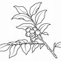 Image result for Branch Coloring Cartoons