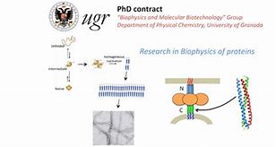 Image result for Protein Biophysics