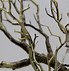 Image result for Dry Tree Branches Decoration