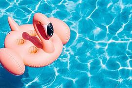 Image result for Happy Summer Cool Pool Beach Wallpaper