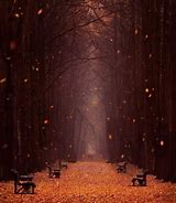 Image result for Falling Leaves Realistic