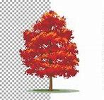 Image result for Maple Tree Branch Vector