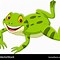 Image result for Leaping Frog Cartoon