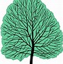 Image result for Shingle Oak Leaf