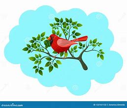 Image result for Red Bird and Tree Branch Illustration