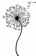 Image result for Dandelion Drawing Black and White