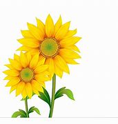 Image result for Sunflower and Daisy Clip Art