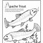 Image result for Trout Fish Coloring Pages