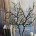 Image result for Dries Tree Branch Decoration