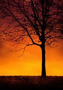 Image result for Fall Tree Cartoon