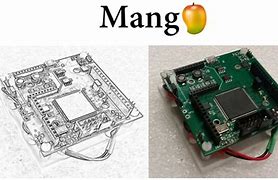 Image result for Mango Leaf Icon