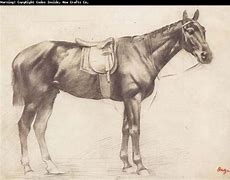 Image result for Edgar Degas Horse Sketches