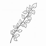 Image result for Vector Tree Branch Coloring