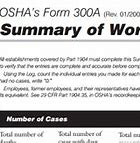 Image result for OSHA Form 300A Printable PDF