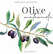 Image result for Watercolor Olive Branch Clip Art