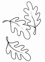 Image result for Oak Leaf Outline