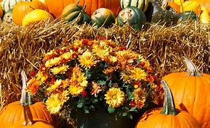 Image result for Fall Harvest Coloring Pages Printable