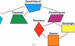 Image result for Quadrilateral Shape Design