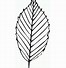 Image result for Coloring Picture of Leaf