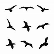 Image result for Silhouette of a Bird Flying