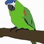 Image result for Colourful Bird Drawing