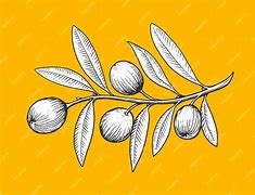 Image result for Blakc and White Clip Art Olive Branch Engravable