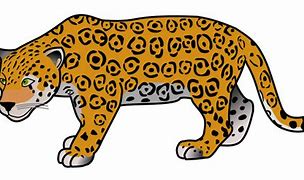 Image result for Black Jaguar Clip Art