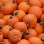 Image result for HD PC Wallpaper Halloween Fall