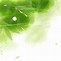 Image result for Background Flowers Leaf Green